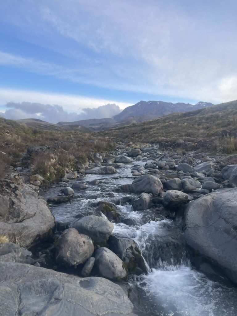 new zealand river